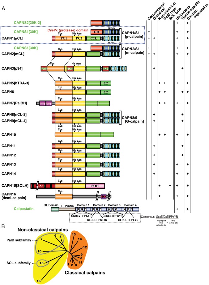 Figure 2