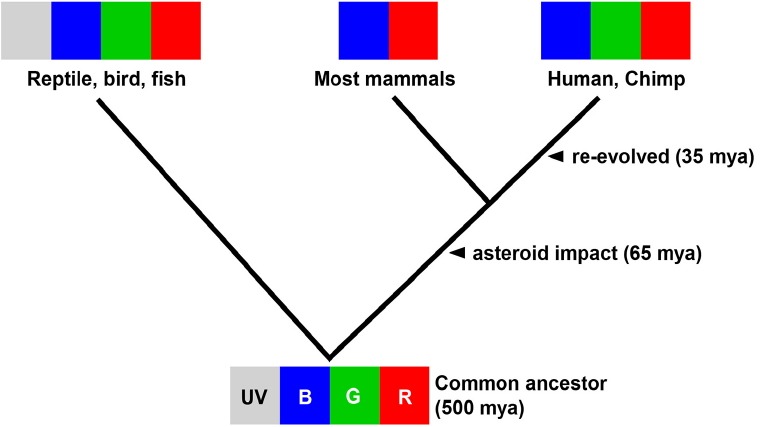 Fig. 1