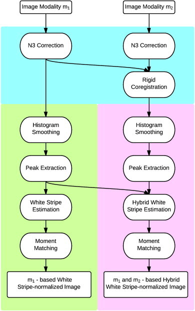 Fig. 1