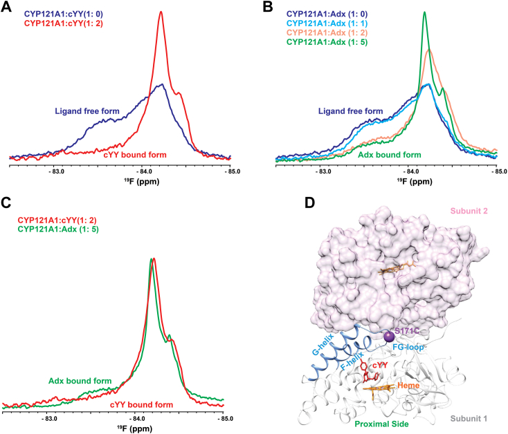 Figure 1