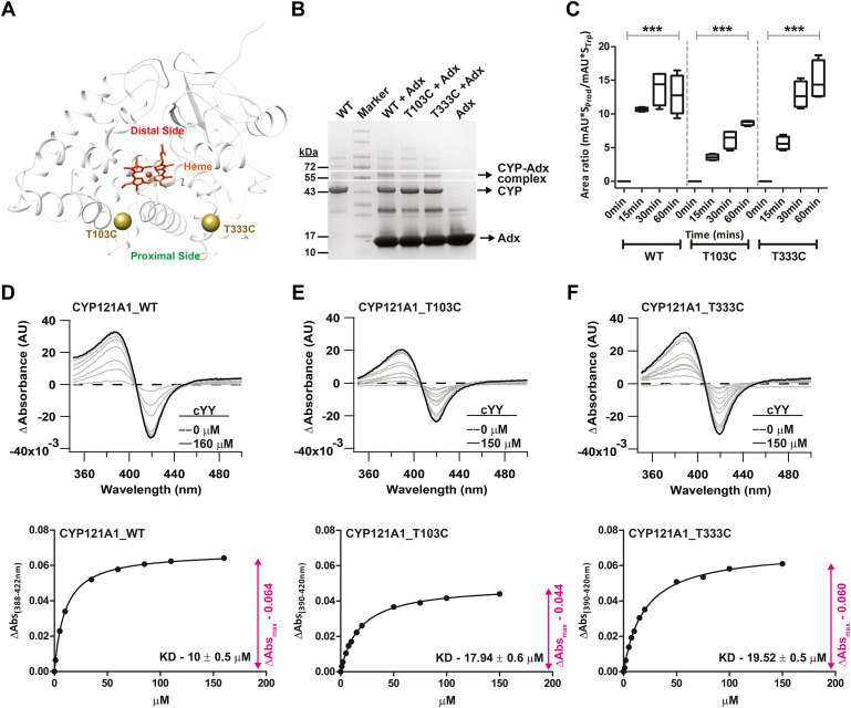 Figure 2