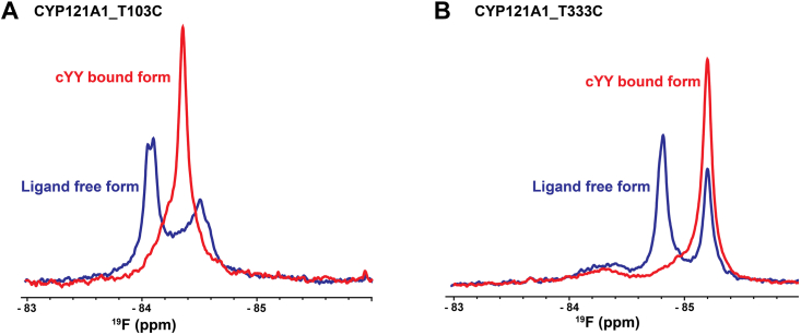 Figure 4