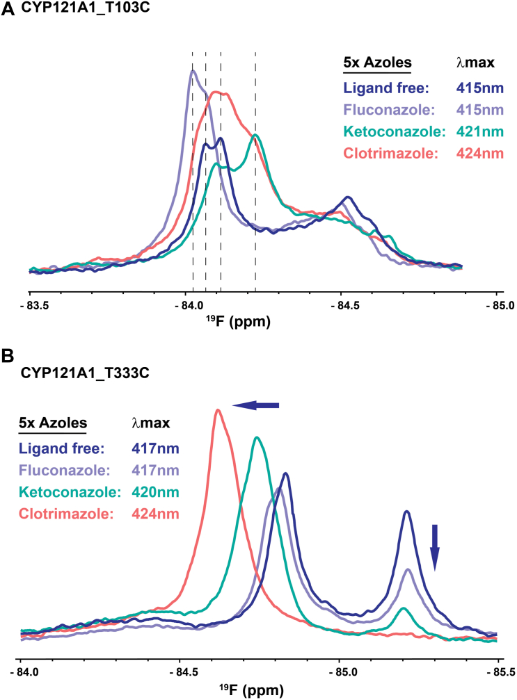 Figure 5