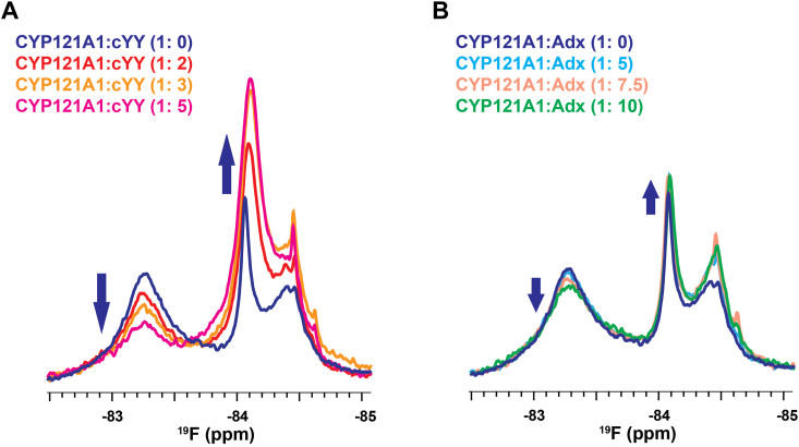 Figure 6