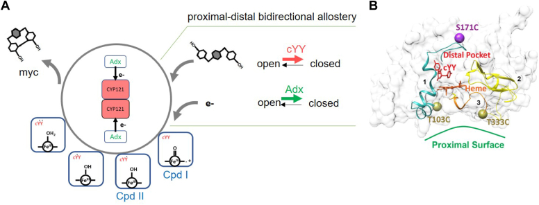 Figure 9