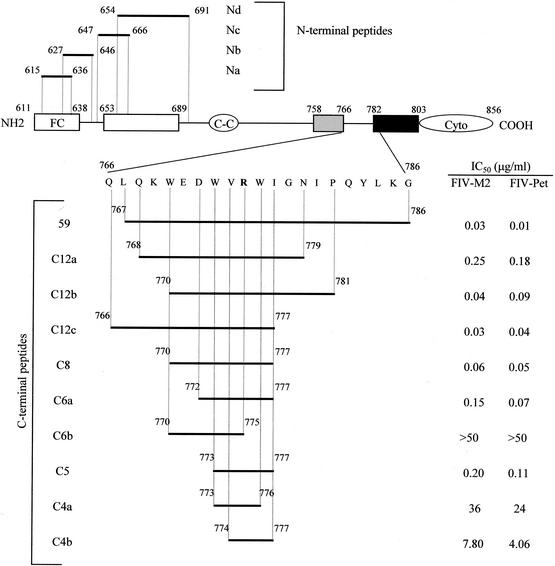 FIG. 1.