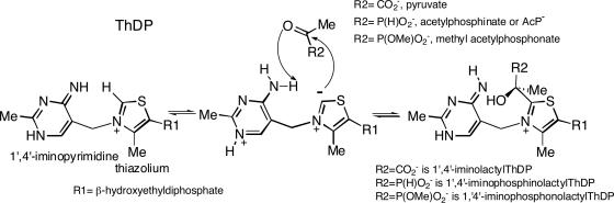 Scheme 2.