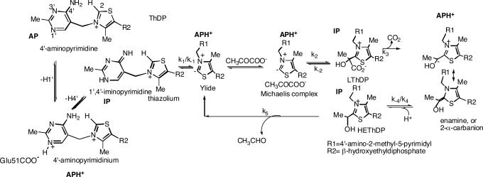 Scheme 1.