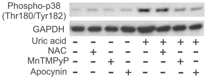 FIGURE 3