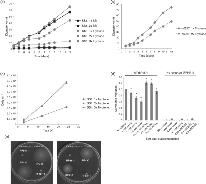 Fig. 3. 