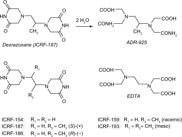 Dexrazoxane for the treatment of chemotherapy-related side effects - PMC