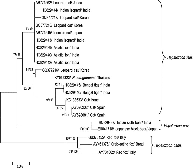 Fig. 1