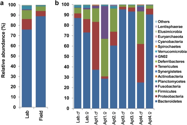 FIG 1