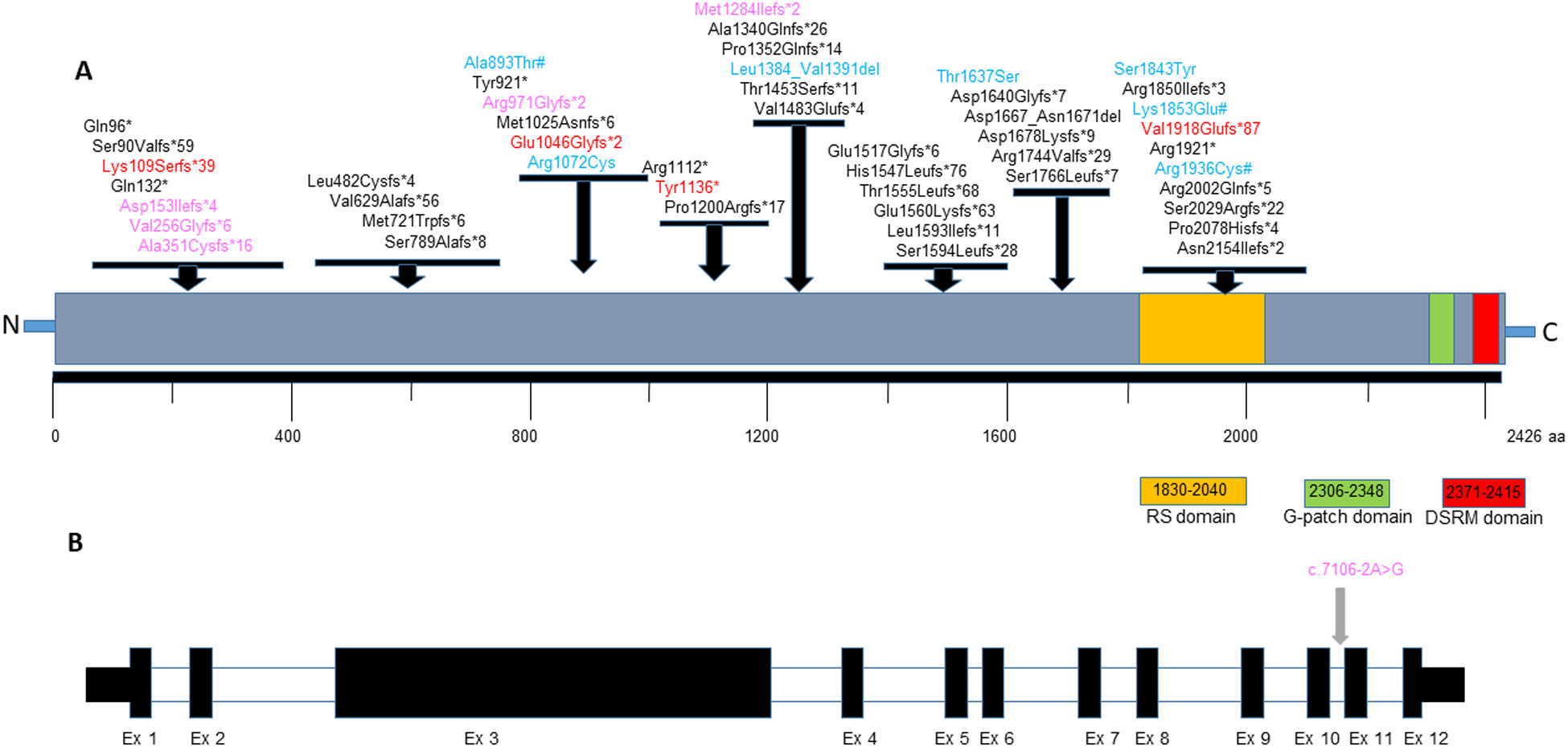 Fig 1: