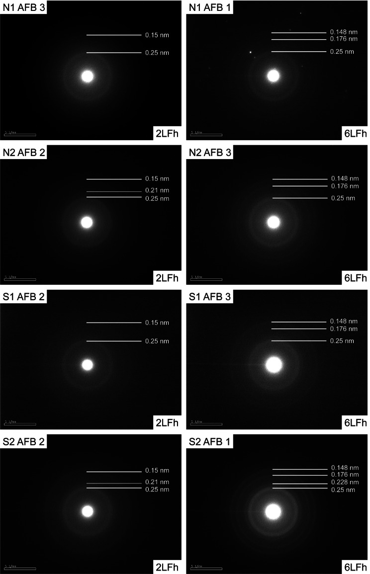 Fig. 6