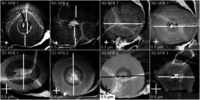 Fig. 2