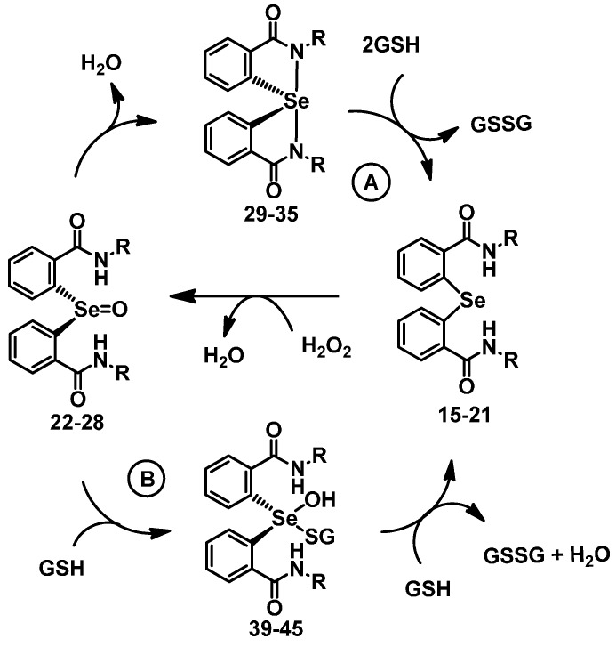 Scheme 4