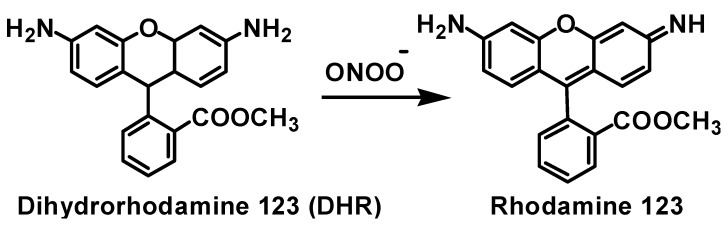 Scheme 6