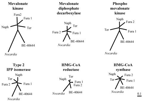 FIG. 5.