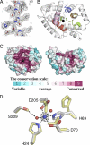 FIGURE 1.