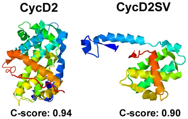 Figure 10