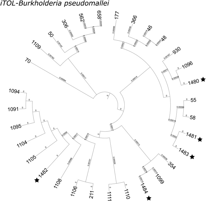 Fig. 2.