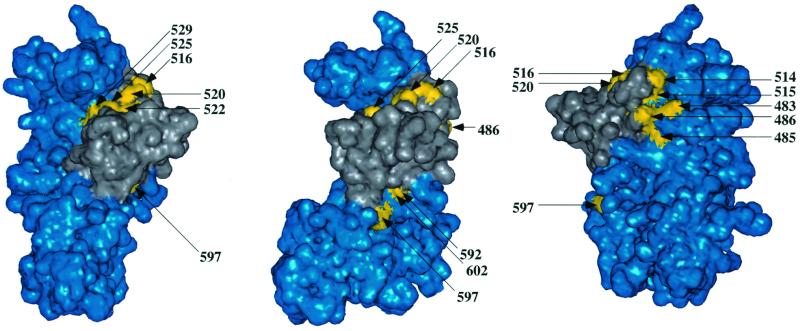 FIG. 1