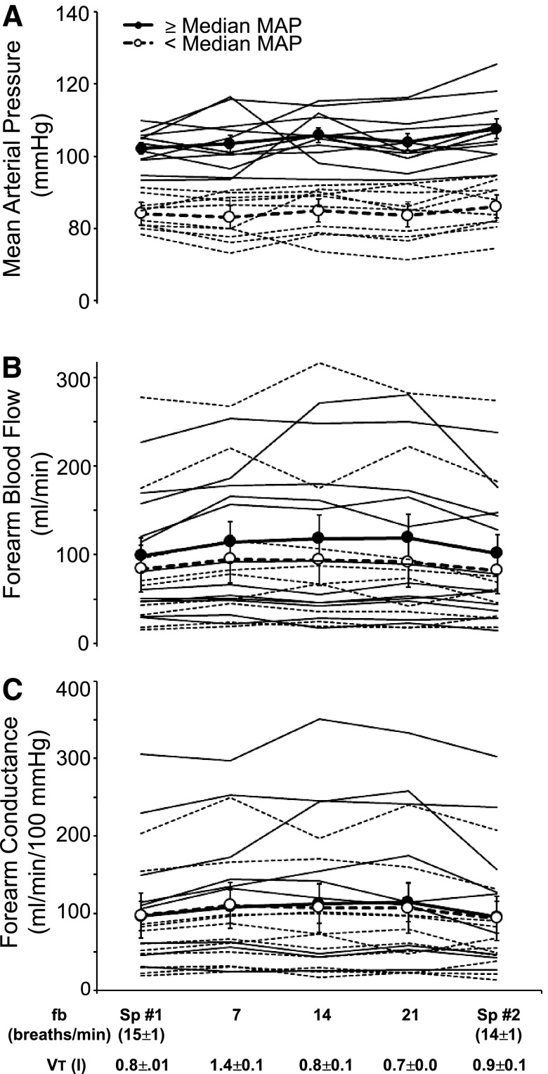 Fig. 5.