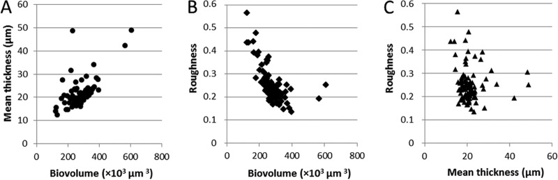 FIG 3