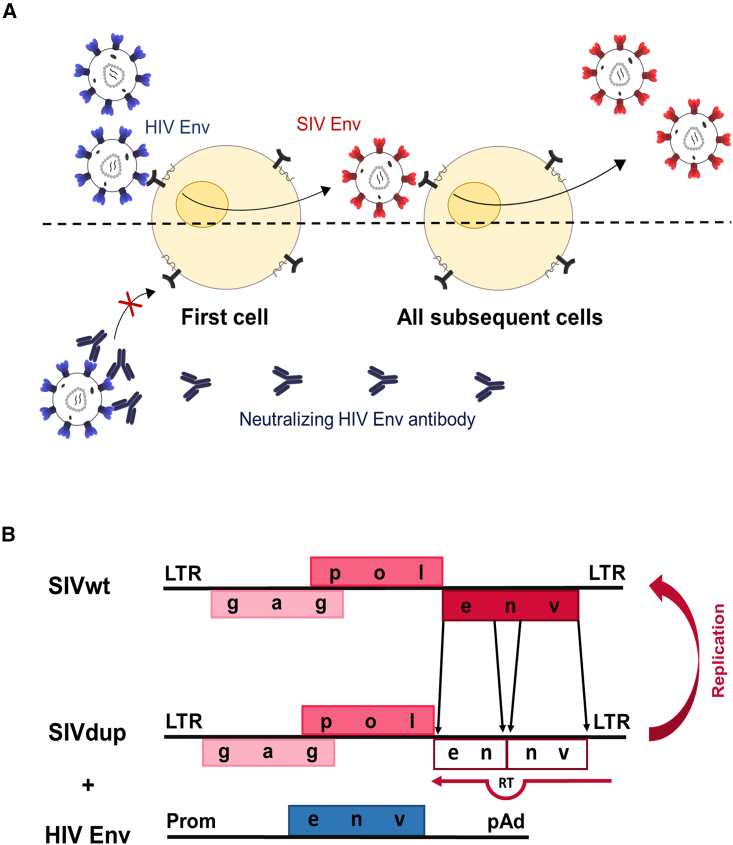 Figure 1