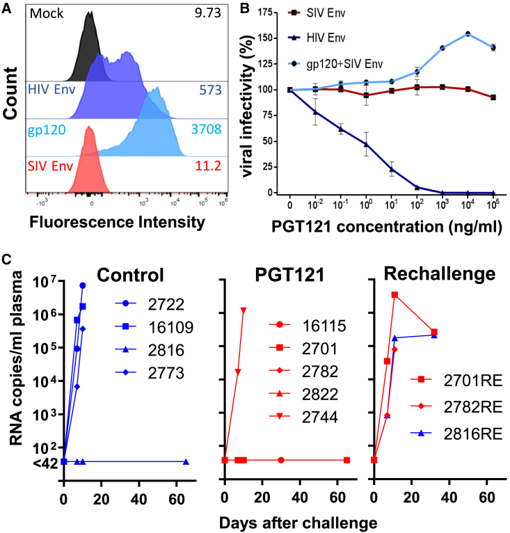 Figure 4