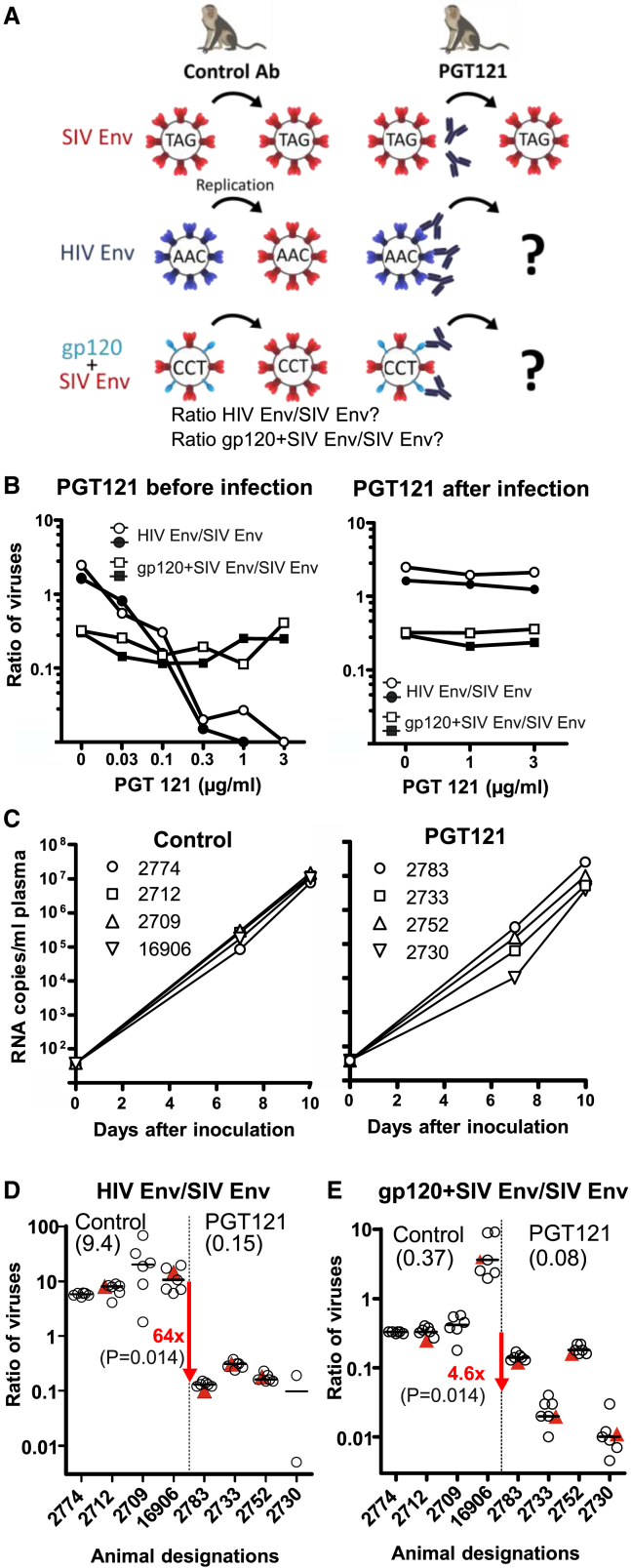 Figure 6