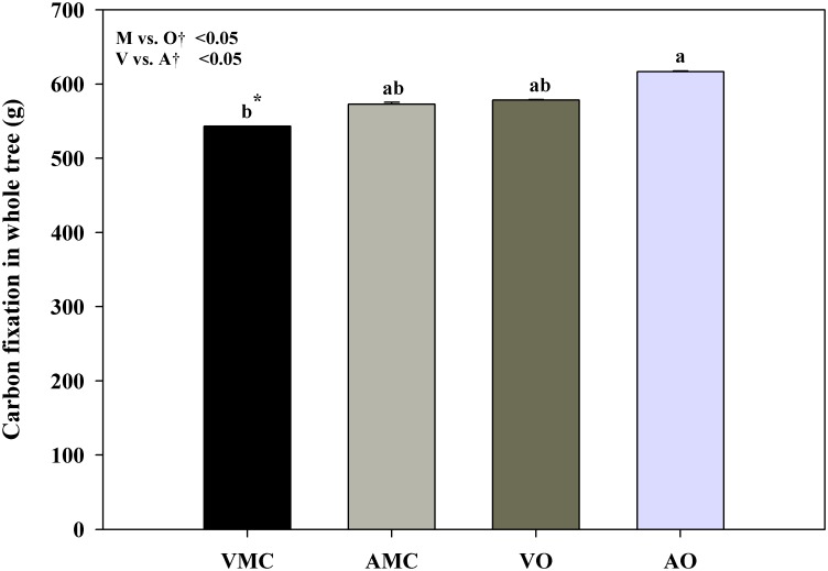 Fig 6