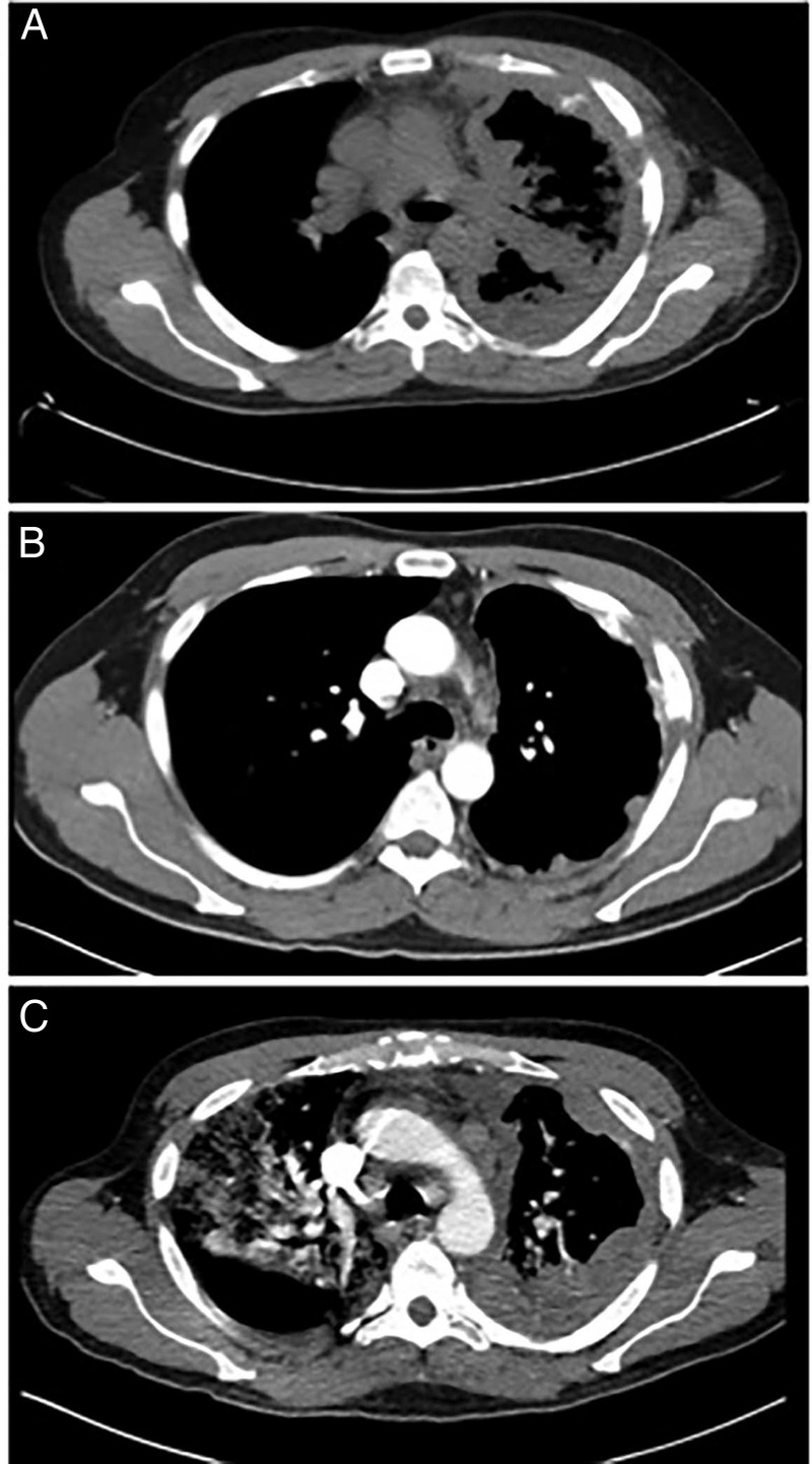 Figure 2