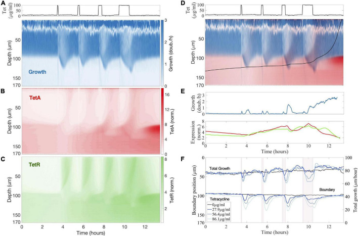 FIGURE 4