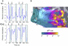 Fig. 5.