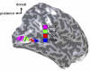 Fig. 9.