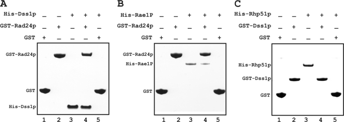 FIGURE 5.