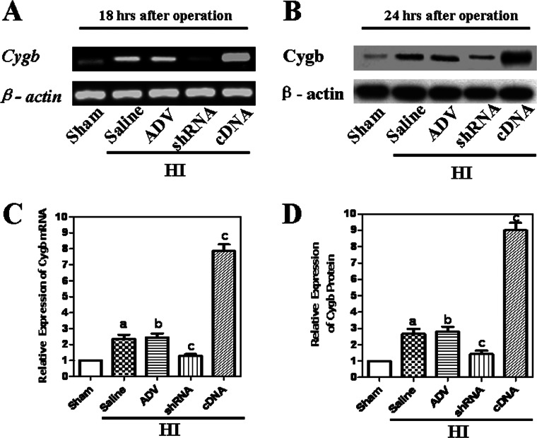 FIGURE 4.