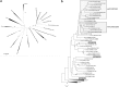 <b>FIG. 1.</b>