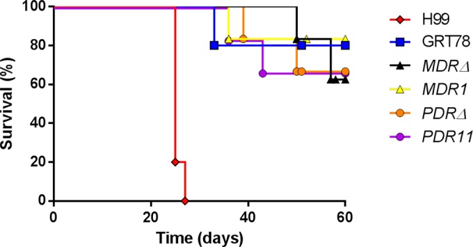 FIG 2