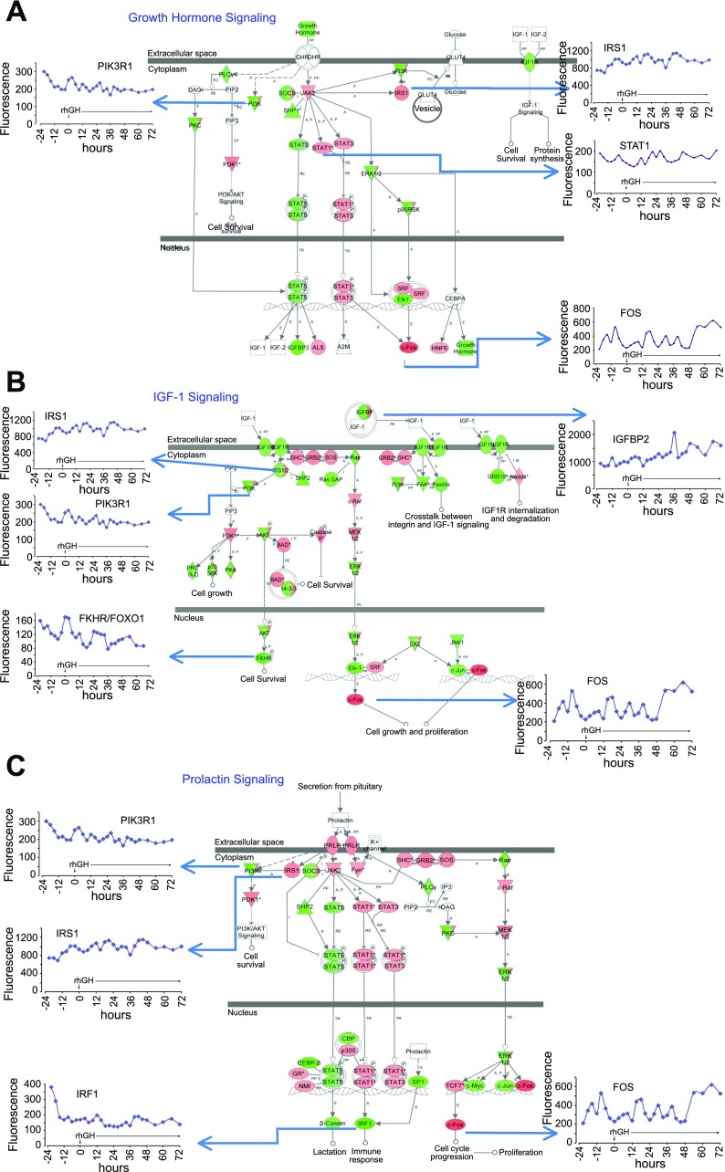 Fig. 7.