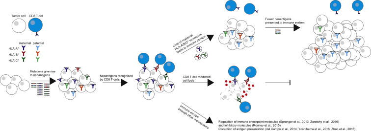 Figure 6