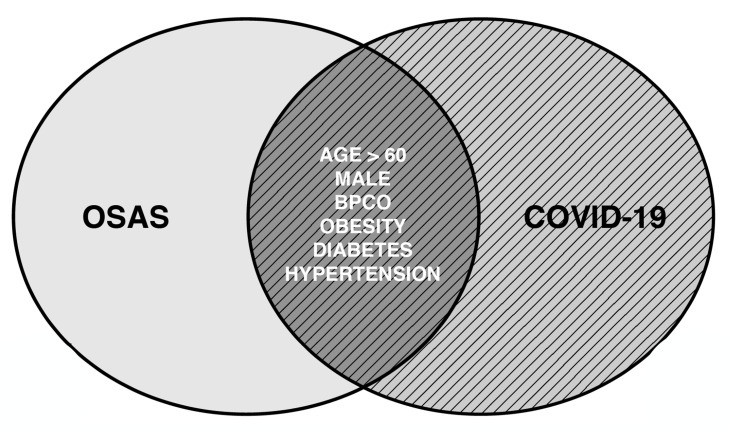 Figure 1.