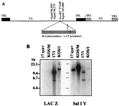 FIG. 1