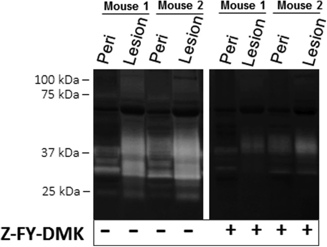 Figure 3.