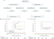 The Prospective Randomized Trial of the Optimal Evaluation of Cardiac
Symptoms and Revascularization (PRECISE) study evaluated the clinical
utility of CT in the stable chest pain setting evaluating whether a combined
CT and CT-FFR strategy would impact catheterization laboratory efficiency
and incident major adverse clinical events (MACE) compared with the usual
testing pathways. Each phase of the PRECISE trial is outlined in A, a key
point being that the low pretest probability group (20.2%) underwent
deferred testing. Kaplan-Meier curves at a median of 11.8 months show (B)
the primary composite end point (death from any cause, nonfatal myocardial
infarction [MI], invasive catheterization without obstructive coronary
artery disease [CAD]) and (C) death or nonfatal MI. The insets show the same
data on an enlarged y-axis. The most important results were that
catheterization without obstructive CAD was improved using CT-FFR and there
was no statistically significant impact on safety (death, nonfatal MI) at 1
year. CT-FFR = CT fractional flow reserve, PMRS = Prospective Multicenter
Imaging Study for Evaluation of Chest Pain minimal risk score. (Adapted,
with permission under a CC BY-NC-ND 4.0 license, from reference
3.)