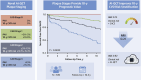 Through 10-year follow-up, artificial intelligence–guided
coronary CT angiography (AI-QCT)–guided plaque staging based on
percentage atheroma volume (PAV) (left) showed important prognostic value
for atherosclerotic cardiovascular disease (CVD) (middle) and provided
important reclassification benefit compared with clinical risk
characteristics and coronary artery calcium scoring (CACS) (right). AUC =
area under the receiver operating characteristic curve, CAD = coronary
artery disease, MACE = major adverse cardiac events, NRI = net
reclassification improvement. (Adapted, with permission under a CC BY-NC-ND
4.0 license, from reference 9.)