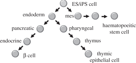 Figure 2.