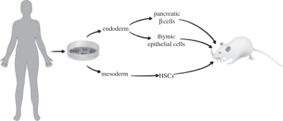 Figure 1.